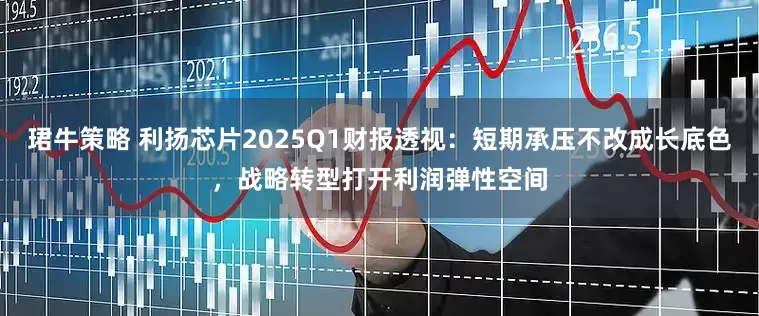 珺牛策略 利扬芯片2025Q1财报透视：短期承压不改成长底色，战略转型打开利润弹性空间