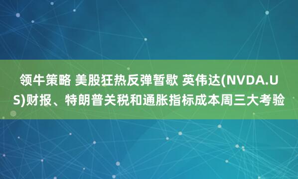 领牛策略 美股狂热反弹暂歇 英伟达(NVDA.US)财报、特朗普关税和通胀指标成本周三大考验