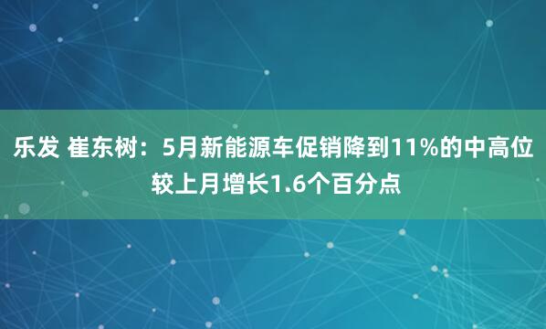 乐发 崔东树：5月新能源车促销降到11%的中高位 较上月增长1.6个百分点