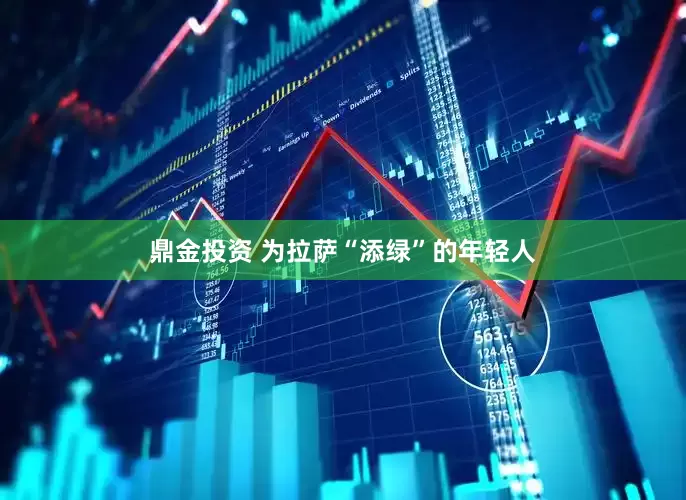 鼎金投资 为拉萨“添绿”的年轻人