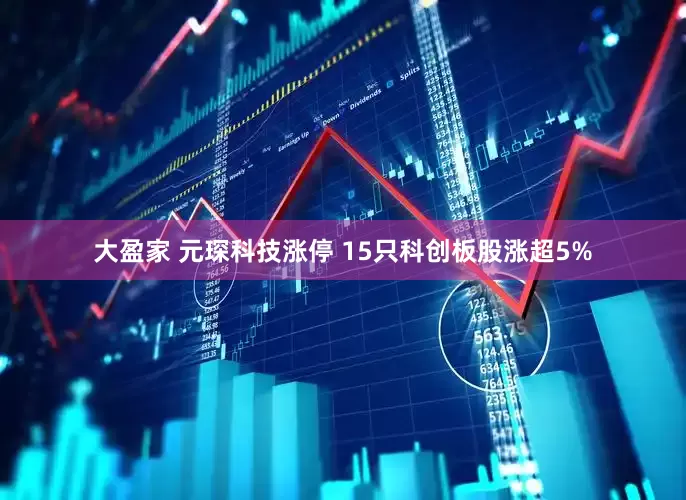 大盈家 元琛科技涨停 15只科创板股涨超5%