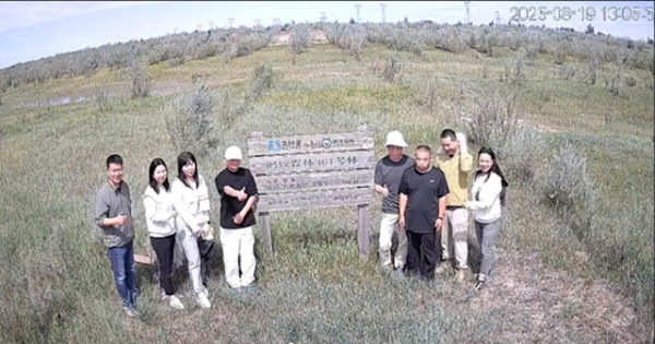 俊升配资 马云参观蚂蚁森林 树已经长得比他高了 他边吃西瓜边和种树人唠嗑
