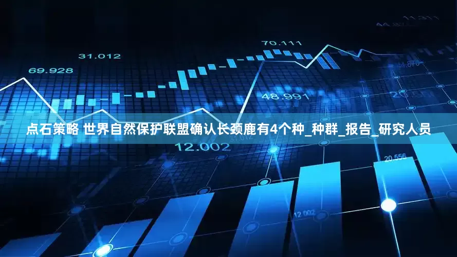 点石策略 世界自然保护联盟确认长颈鹿有4个种_种群_报告_研究人员