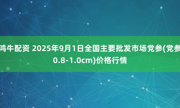鸿牛配资 2025年9月1日全国主要批发市场党参(党参0.8-1.0cm)价格行情